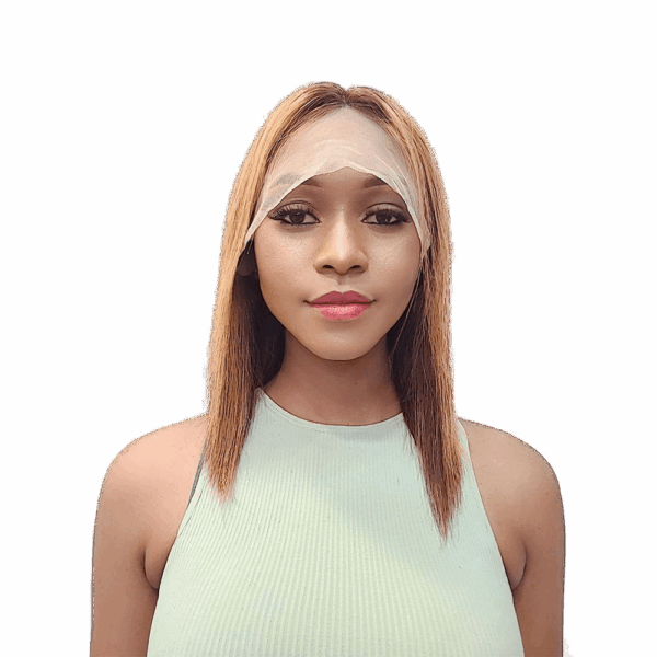 Brazilian Remy Hair Straight Frontal lace wig BOB Highlight 4/27